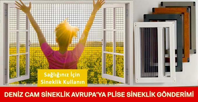 Almanya’ya Sineklik Gönderimi