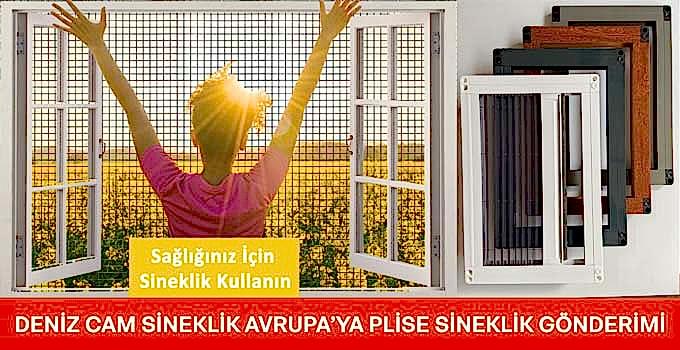 Almanya’ya Sineklik Gönderimi