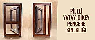 Pencere Sineklik