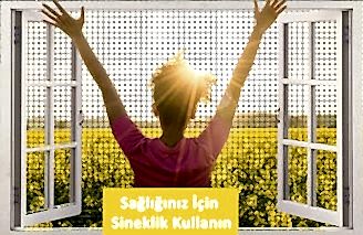 Sağlığınız İçin Sineklik Kullanın